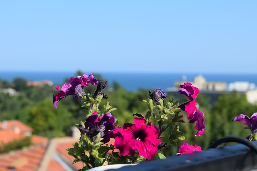 Villa Rosa Dei Venti Balchik Esterno foto